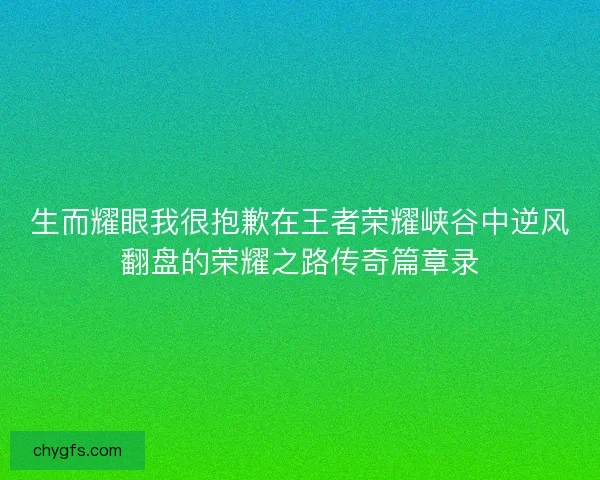 生而耀眼我很抱歉在王者荣耀峡谷中逆风翻盘的荣耀之路传奇篇章录