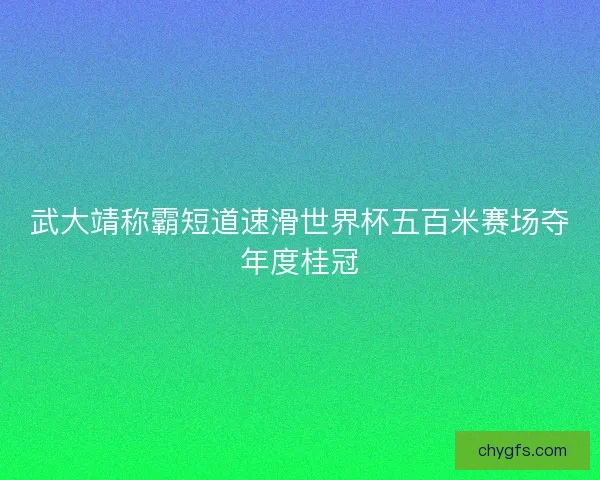 武大靖称霸短道速滑世界杯五百米赛场夺年度桂冠