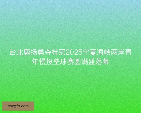 台北鹿扬勇夺桂冠2025宁夏海峡两岸青年慢投垒球赛圆满盛落幕